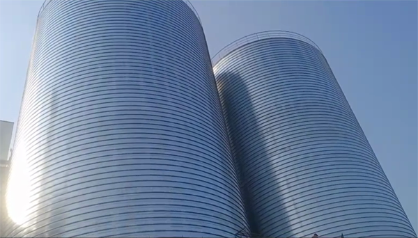 通海口镇2座混凝土高架卷板仓